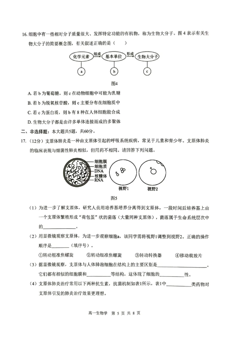 贵百河2025-10月考高一生物试卷_2025年10月高一试卷_251022广西贵百河2025-2026学年高一上学期10月考试卷_贵百河2025-10月考高一生物试卷含答案