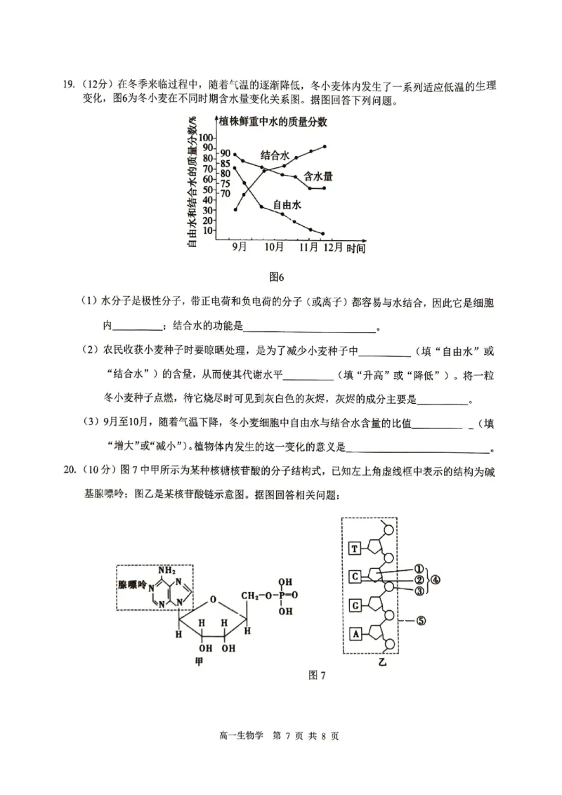 贵百河2025-10月考高一生物试卷_2025年10月高一试卷_251022广西贵百河2025-2026学年高一上学期10月考试卷_贵百河2025-10月考高一生物试卷含答案