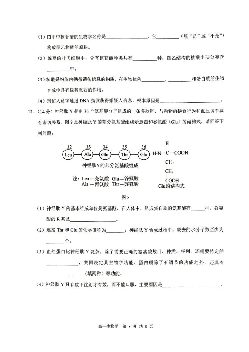贵百河2025-10月考高一生物试卷_2025年10月高一试卷_251022广西贵百河2025-2026学年高一上学期10月考试卷_贵百河2025-10月考高一生物试卷含答案