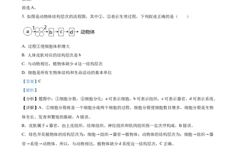 精品解析：2022年山东省滨州市中考生物真题（解析版）_6生物中考复习_2025中考复习资料_中考真题（近三年）_2022年生物中考真题114份_精品解析：2022年山东省滨州市中考生物真题