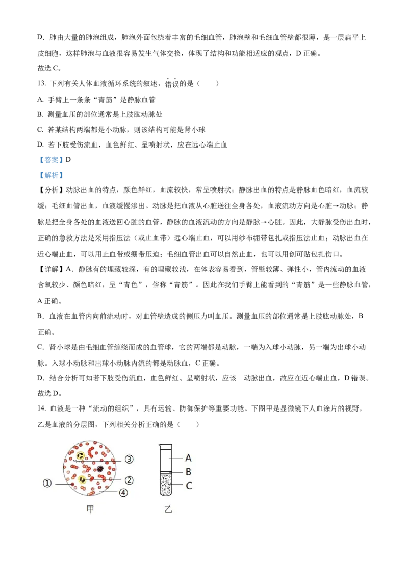 精品解析：2022年山东省滨州市中考生物真题（解析版）_6生物中考复习_2025中考复习资料_中考真题（近三年）_2022年生物中考真题114份_精品解析：2022年山东省滨州市中考生物真题