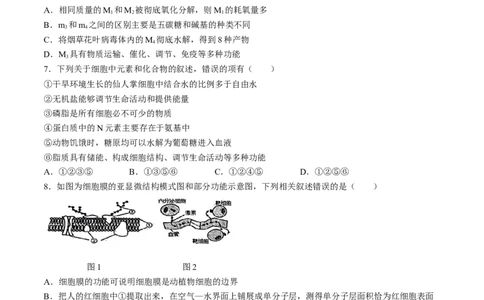 辽宁省丹东市七校协作体2024-2025学年高一上学期11月期中生物试题_2024年11月试卷_1128辽宁省丹东市名校协作2024-2025学年高一11月期中