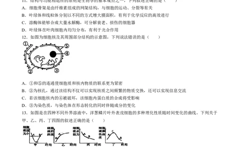 辽宁省丹东市七校协作体2024-2025学年高一上学期11月期中生物试题_2024年11月试卷_1128辽宁省丹东市名校协作2024-2025学年高一11月期中