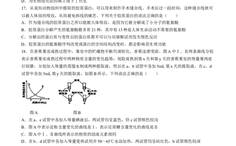 辽宁省丹东市七校协作体2024-2025学年高一上学期11月期中生物试题_2024年11月试卷_1128辽宁省丹东市名校协作2024-2025学年高一11月期中