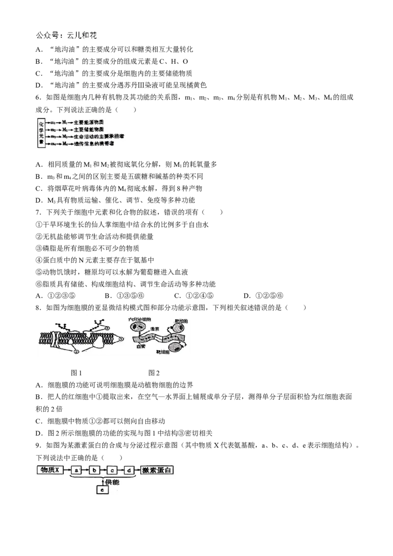 辽宁省丹东市七校协作体2024-2025学年高一上学期11月期中生物试题_2024年11月试卷_1128辽宁省丹东市名校协作2024-2025学年高一11月期中