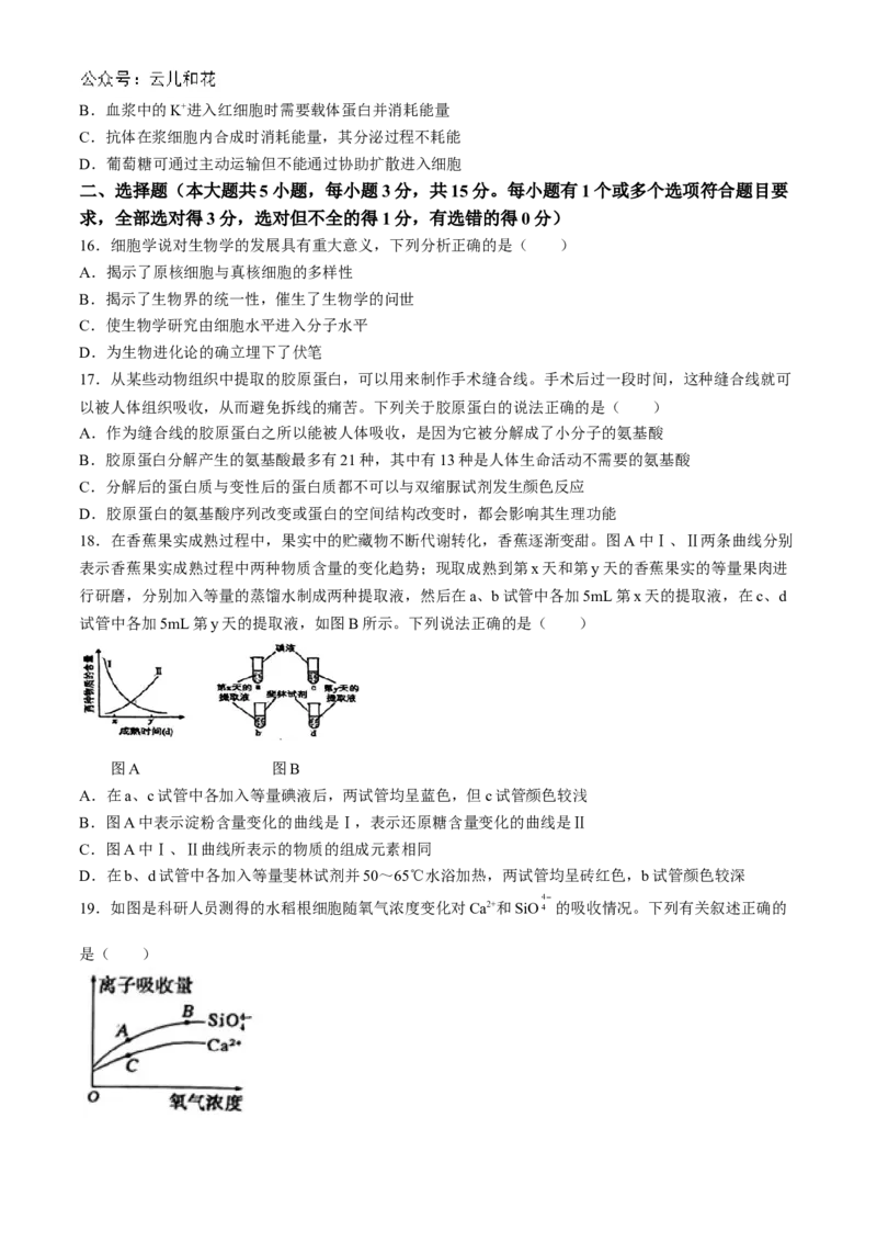 辽宁省丹东市七校协作体2024-2025学年高一上学期11月期中生物试题_2024年11月试卷_1128辽宁省丹东市名校协作2024-2025学年高一11月期中