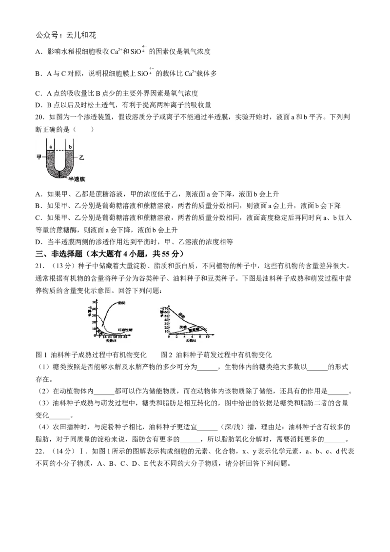 辽宁省丹东市七校协作体2024-2025学年高一上学期11月期中生物试题_2024年11月试卷_1128辽宁省丹东市名校协作2024-2025学年高一11月期中