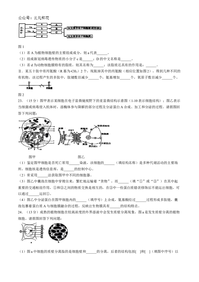 辽宁省丹东市七校协作体2024-2025学年高一上学期11月期中生物试题_2024年11月试卷_1128辽宁省丹东市名校协作2024-2025学年高一11月期中
