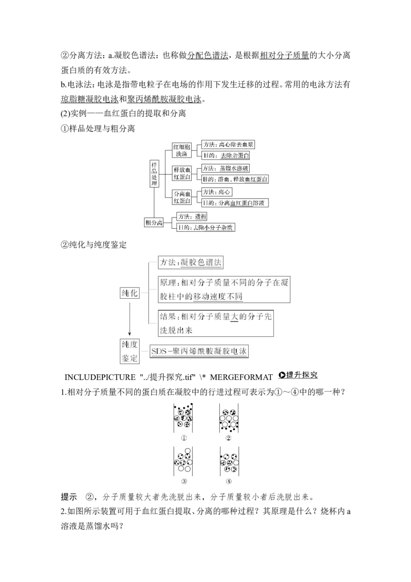 选修一第36讲_新高考复习资料_2022年新高考复习资料_2022年一轮复习最新版_1.2022年高考生物一轮复习全国通用版_2022年新高考生物一轮复习讲义（最新版）_赠送word习题库_选修1