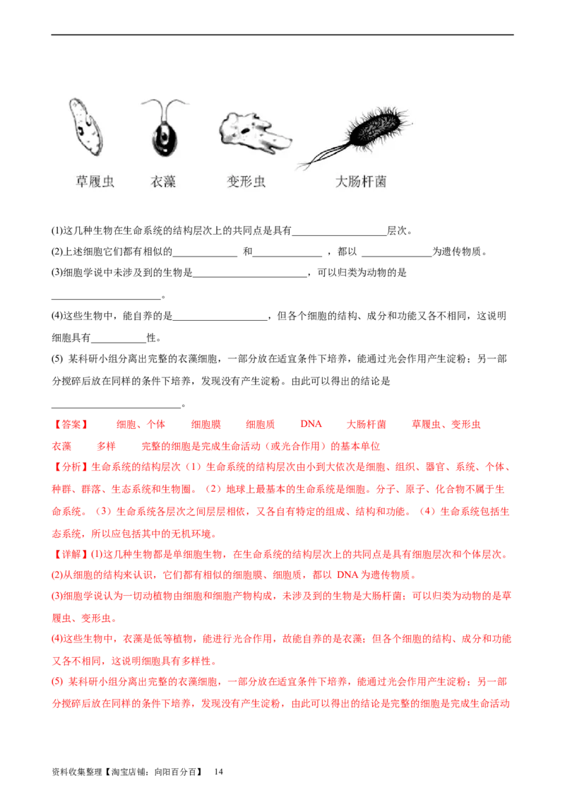 通关卷01走近细胞（解析版）_新高考复习资料_2024年新高考复习资料_一轮复习资料_完2024年高考生物一轮复习考点通关卷（新高考）_考点通关卷01走近细胞