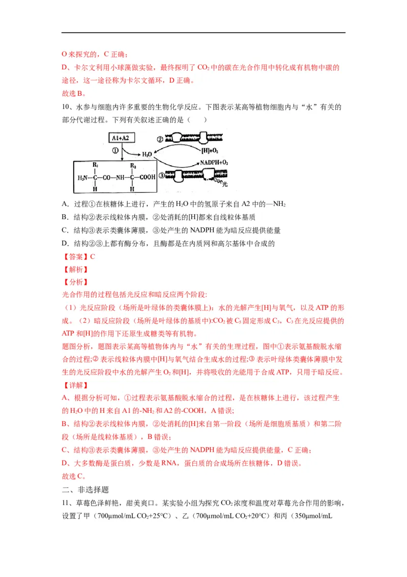 重难点06光合作用-2023年高考生物热点&middot;重点&middot;难点专练（全国通用）（解析版）_通用版（老高考）复习资料_2023年复习资料_专项复习