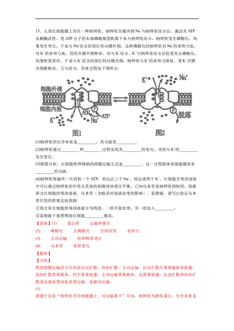 重难点06光合作用-2023年高考生物热点&middot;重点&middot;难点专练（全国通用）（解析版）_通用版（老高考）复习资料_2023年复习资料_专项复习