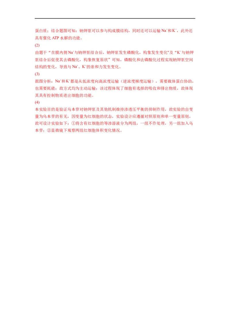 重难点06光合作用-2023年高考生物热点&middot;重点&middot;难点专练（全国通用）（解析版）_通用版（老高考）复习资料_2023年复习资料_专项复习