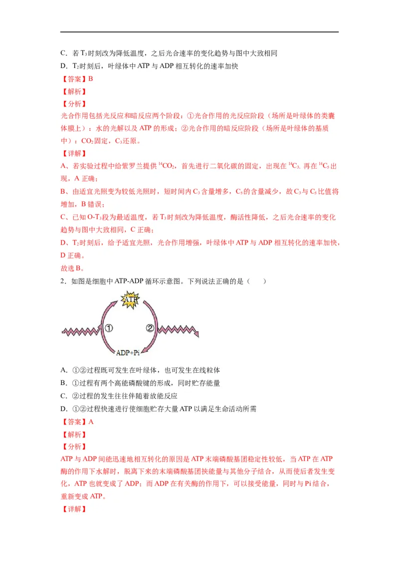 重难点06光合作用-2023年高考生物热点&middot;重点&middot;难点专练（全国通用）（解析版）_通用版（老高考）复习资料_2023年复习资料_专项复习