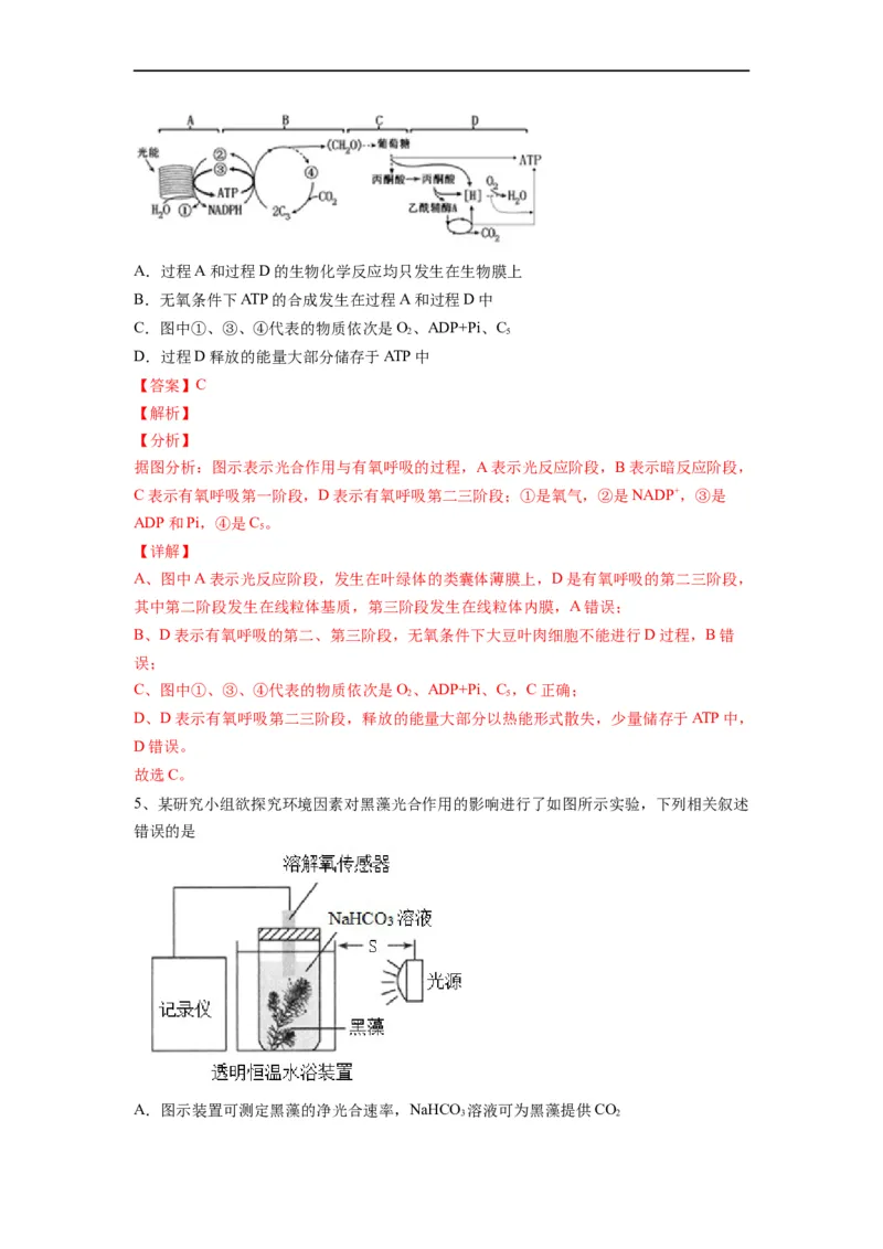 重难点06光合作用-2023年高考生物热点&middot;重点&middot;难点专练（全国通用）（解析版）_通用版（老高考）复习资料_2023年复习资料_专项复习