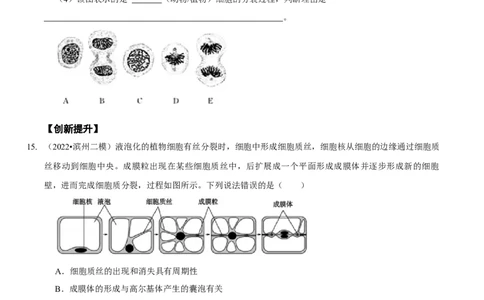 题型8细胞生命历程的易错辨析（题型集训）（原卷版）_新高考复习资料_2023年新高考复习资料_二轮复习_技巧点拨备战2023年高考生物二轮题型复习讲解286731240