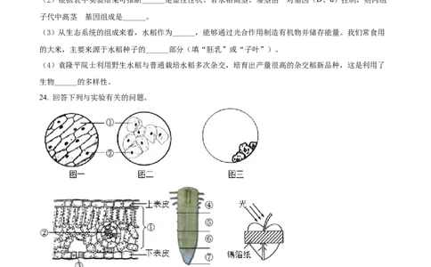 精品解析：2022年辽宁省阜新市中考生物真题（原卷版）_6生物中考复习_2025中考复习资料_中考真题（近三年）_2022年生物中考真题114份_精品解析：2022年辽宁省阜新市中考生物真题