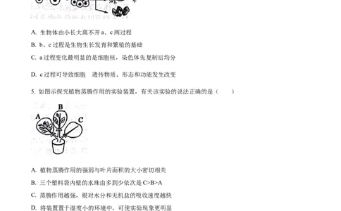 精品解析：2023年山东省滨州市中考生物真题（原卷版）_new_6生物中考复习_2025中考复习资料_中考真题（近三年）_2023年生物中考真题