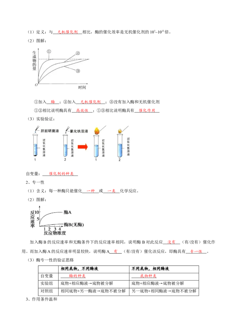 题型4与酶相关的实验设计与分析（核心知识）（解析版）_新高考复习资料_2023年新高考复习资料_二轮复习_技巧点拨备战2023年高考生物二轮题型复习讲解286731240