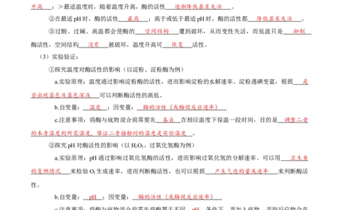 题型4与酶相关的实验设计与分析（核心知识）（解析版）_新高考复习资料_2023年新高考复习资料_二轮复习_技巧点拨备战2023年高考生物二轮题型复习讲解286731240