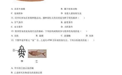 精品解析：2024年广东省中考生物真题（原卷版）_new_6生物中考复习_2025中考复习资料_中考真题（近三年）_2024年生物中考真题
