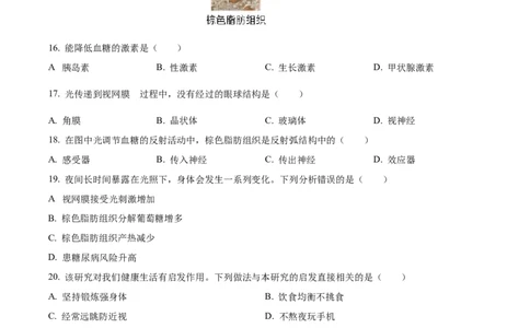 精品解析：2024年广东省中考生物真题（原卷版）_new_6生物中考复习_2025中考复习资料_中考真题（近三年）_2024年生物中考真题