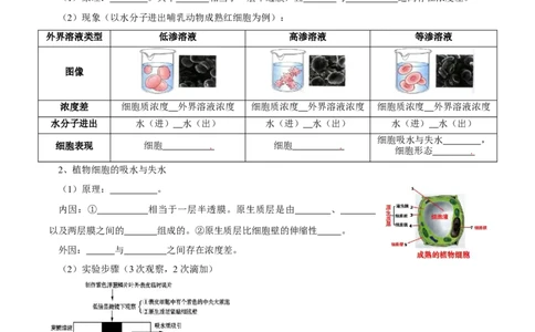 题型3物质进出细胞的方式（核心知识）（原卷版）_新高考复习资料_2023年新高考复习资料_二轮复习_技巧点拨备战2023年高考生物二轮题型复习讲解286731240