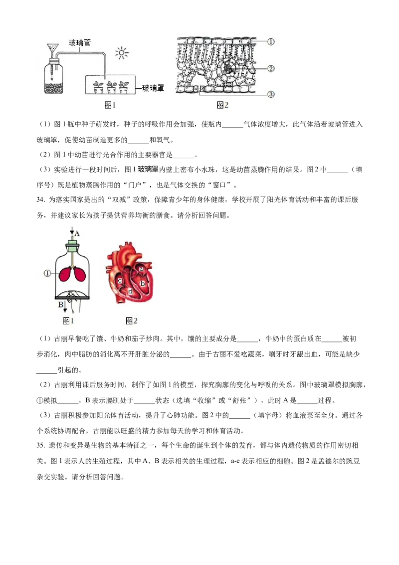 精品解析：2022年新疆维吾尔自治区新疆生产建设兵团中考生物真题（原卷版）_6生物中考复习_2025中考复习资料_中考真题（近三年）_2022年生物中考真题114份