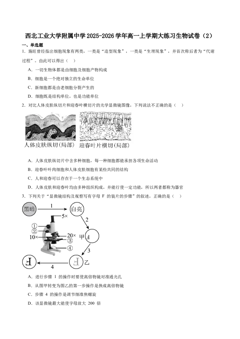 陕西省西北工业大学附属中学2025-2026学年高一上学期大练习（二）生物Word版含答案_2025年11月高一试卷_251107陕西省西北工业大学附属中学2025-2026学年高一上学期大练习（二）
