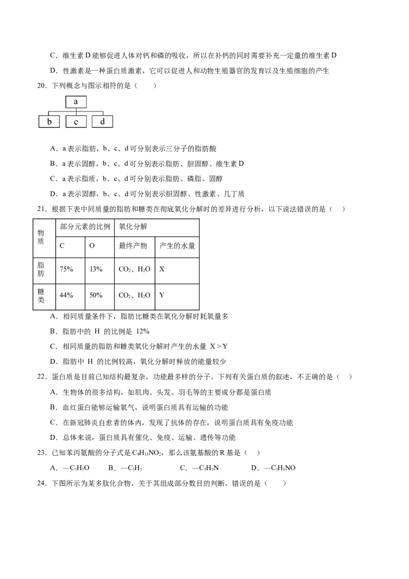 陕西省西北工业大学附属中学2025-2026学年高一上学期大练习（二）生物Word版含答案_2025年11月高一试卷_251107陕西省西北工业大学附属中学2025-2026学年高一上学期大练习（二）
