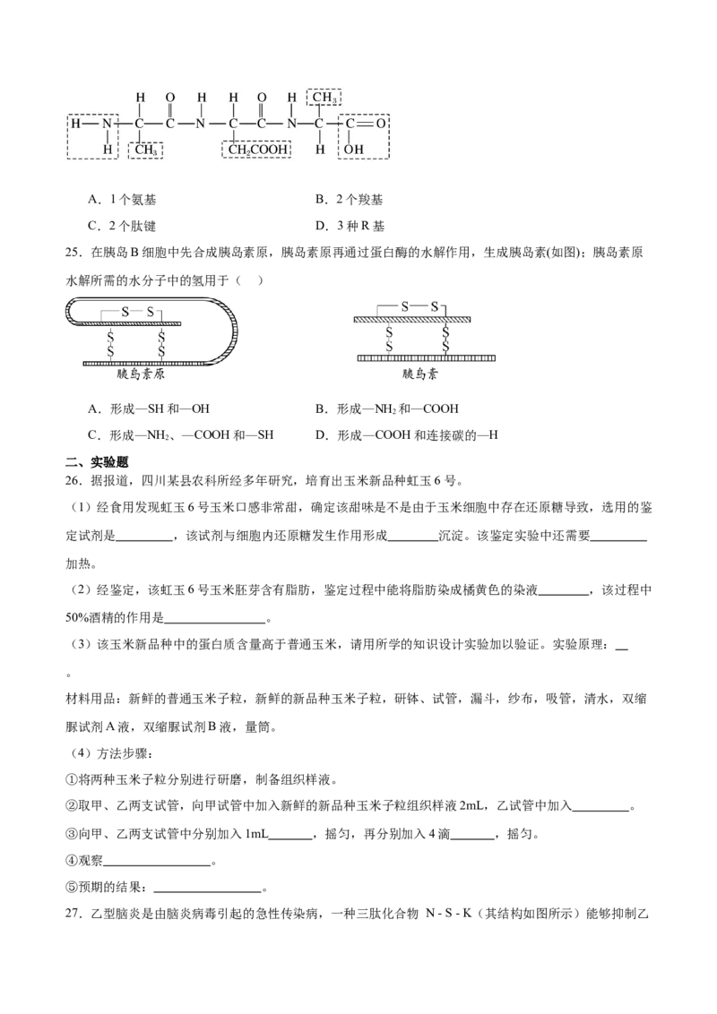 陕西省西北工业大学附属中学2025-2026学年高一上学期大练习（二）生物Word版含答案_2025年11月高一试卷_251107陕西省西北工业大学附属中学2025-2026学年高一上学期大练习（二）