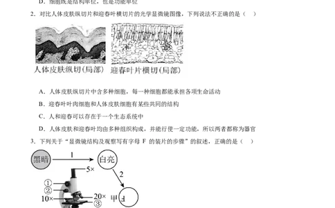 陕西省西北工业大学附属中学2025-2026学年高一上学期大练习（二）生物Word版含答案_2025年11月高一试卷_251107陕西省西北工业大学附属中学2025-2026学年高一上学期大练习（二）