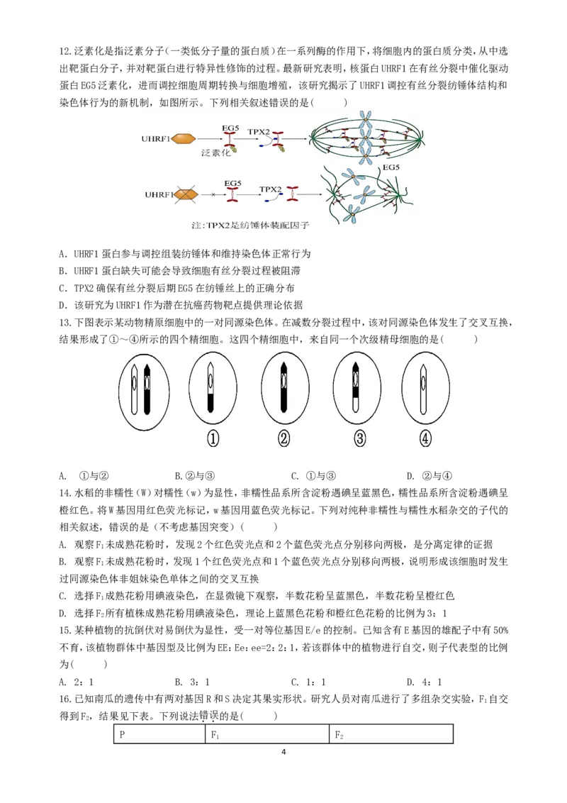 《高2024级高一下期中期考试生物试题_2025年05月试卷_0501重庆市万州二中2024-2025学年高一下学期期中考试_重庆市万州二中2024-2025学年高一下学期期中考试生物Word版含答案》第4页预览