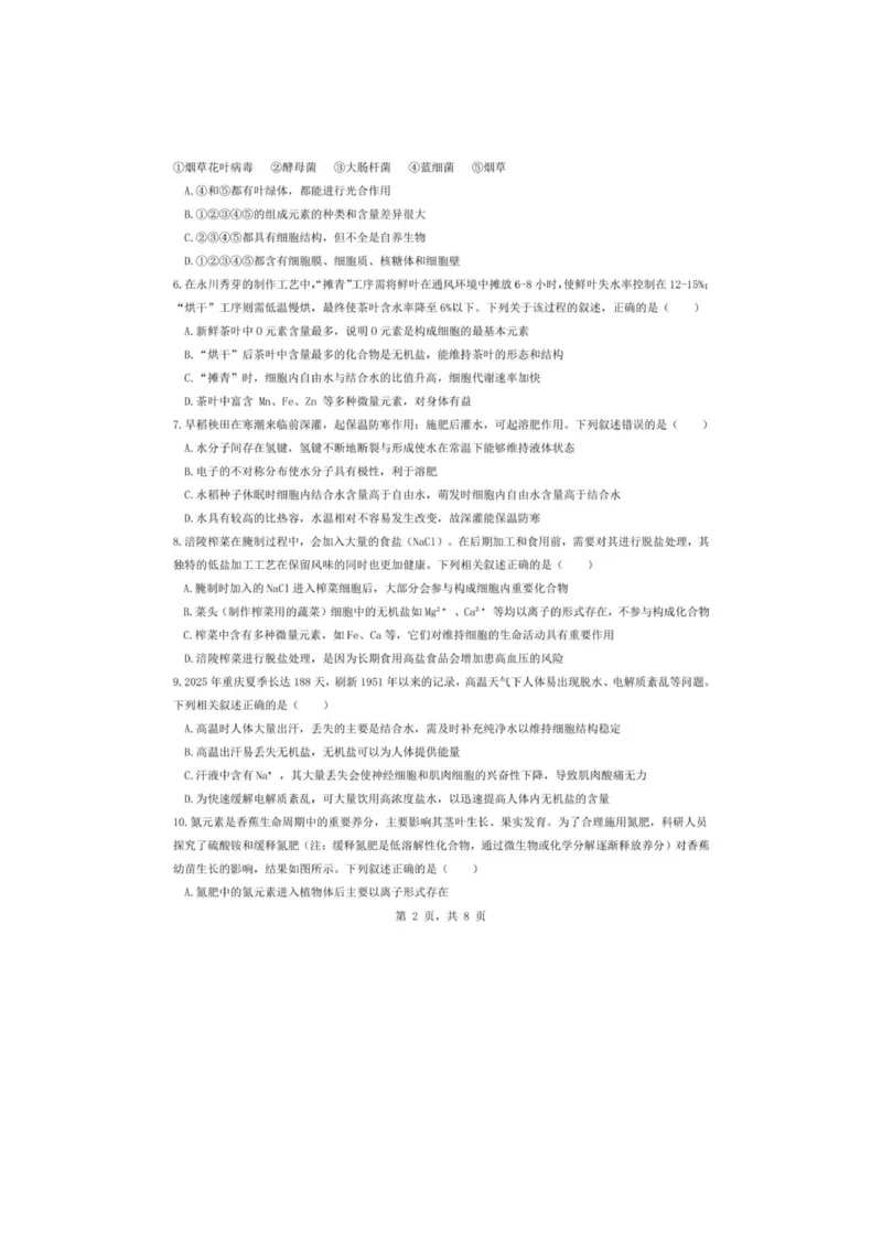重庆市渝东九校联盟2025-2026学年高一上学期期中联合性诊断测试生物试卷（图片版，含答案）_2025年12月高一试卷