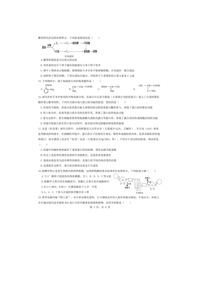 重庆市渝东九校联盟2025-2026学年高一上学期期中联合性诊断测试生物试卷（图片版，含答案）_2025年12月高一试卷