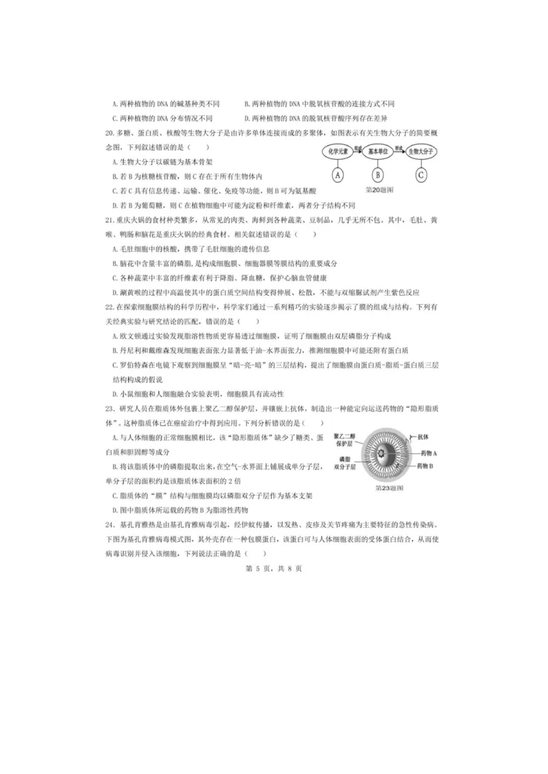 重庆市渝东九校联盟2025-2026学年高一上学期期中联合性诊断测试生物试卷（图片版，含答案）_2025年12月高一试卷