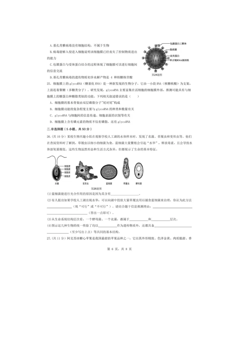 重庆市渝东九校联盟2025-2026学年高一上学期期中联合性诊断测试生物试卷（图片版，含答案）_2025年12月高一试卷