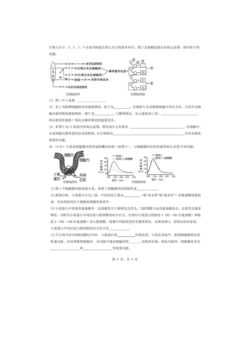 重庆市渝东九校联盟2025-2026学年高一上学期期中联合性诊断测试生物试卷（图片版，含答案）_2025年12月高一试卷
