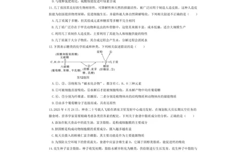 重庆市渝东九校联盟2025-2026学年高一上学期期中联合性诊断测试生物试卷（图片版，含答案）_2025年12月高一试卷