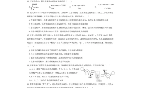 重庆市渝东九校联盟2025-2026学年高一上学期期中联合性诊断测试生物试卷（图片版，含答案）_2025年12月高一试卷