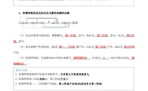 题型5从物质与能量视角探索光合作用（核心知识）（解析版）_新高考复习资料_2023年新高考复习资料_二轮复习_技巧点拨备战2023年高考生物二轮题型复习讲解286731240