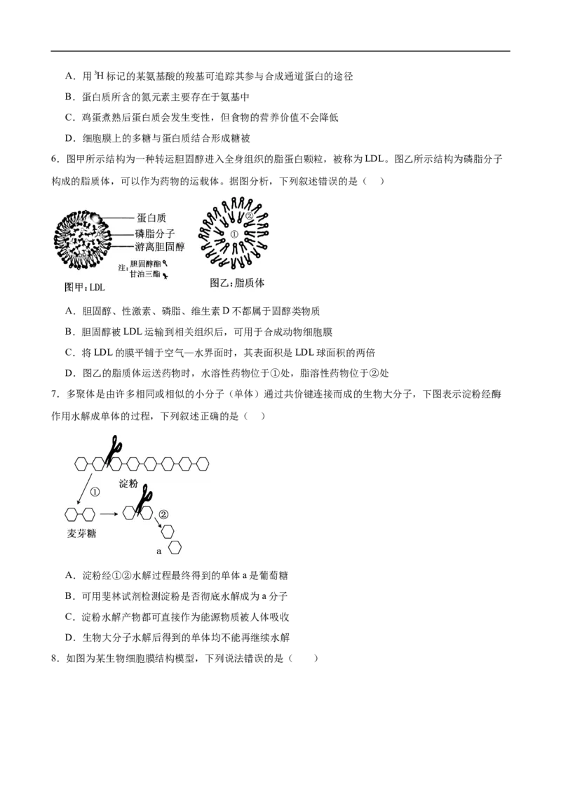 邵阳市第二中学2025-2026学年高一下学期入学测试生物试卷_2026年03月高一试卷_260317湖南省邵阳市第二中学2025-2026学年高一下学期入学测试试卷（全科）