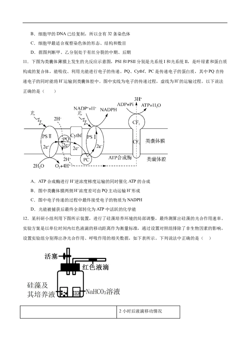 邵阳市第二中学2025-2026学年高一下学期入学测试生物试卷_2026年03月高一试卷_260317湖南省邵阳市第二中学2025-2026学年高一下学期入学测试试卷（全科）