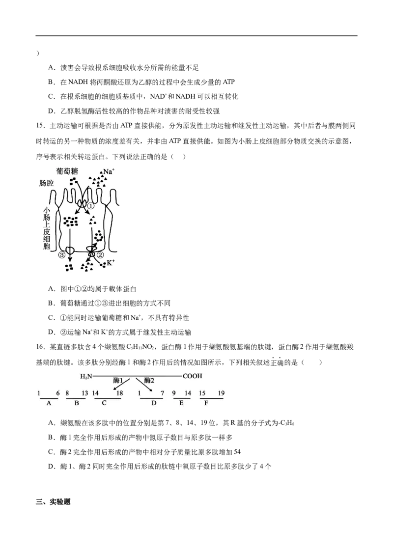 邵阳市第二中学2025-2026学年高一下学期入学测试生物试卷_2026年03月高一试卷_260317湖南省邵阳市第二中学2025-2026学年高一下学期入学测试试卷（全科）