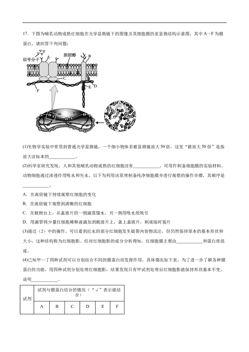 邵阳市第二中学2025-2026学年高一下学期入学测试生物试卷_2026年03月高一试卷_260317湖南省邵阳市第二中学2025-2026学年高一下学期入学测试试卷（全科）