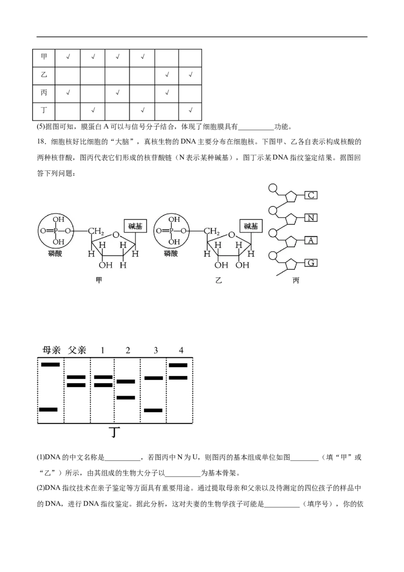 邵阳市第二中学2025-2026学年高一下学期入学测试生物试卷_2026年03月高一试卷_260317湖南省邵阳市第二中学2025-2026学年高一下学期入学测试试卷（全科）