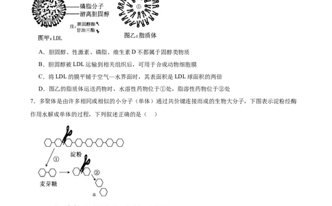 邵阳市第二中学2025-2026学年高一下学期入学测试生物试卷_2026年03月高一试卷_260317湖南省邵阳市第二中学2025-2026学年高一下学期入学测试试卷（全科）