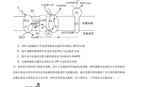 邵阳市第二中学2025-2026学年高一下学期入学测试生物试卷_2026年03月高一试卷_260317湖南省邵阳市第二中学2025-2026学年高一下学期入学测试试卷（全科）