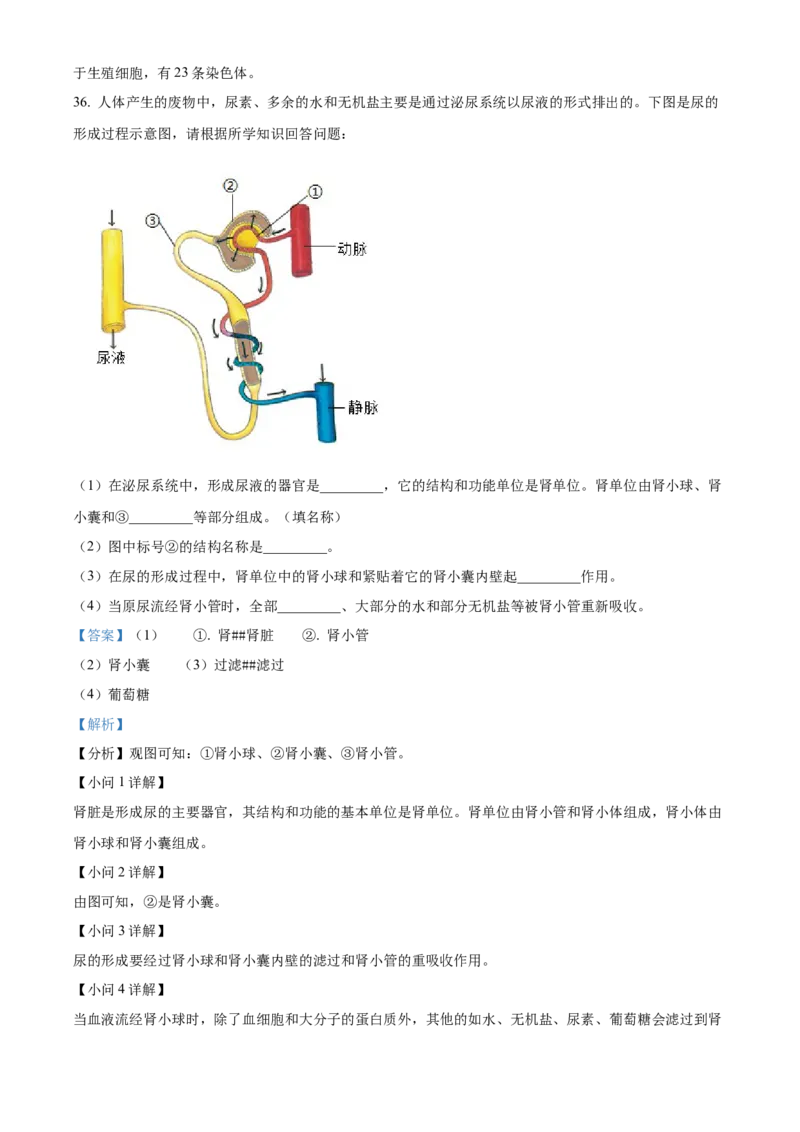 精品解析：2024年黑龙江省绥化市中考生物真题（解析版）_new_6生物中考复习_2025中考复习资料_中考真题（近三年）_2024年生物中考真题