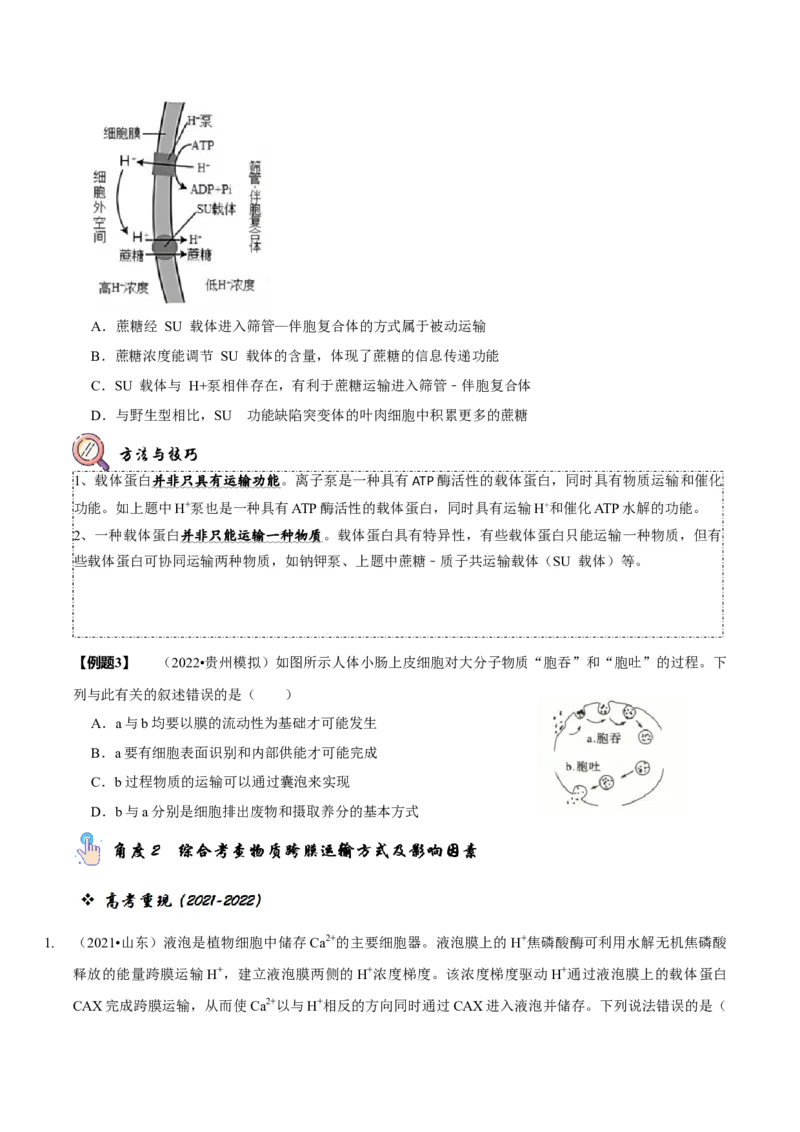 题型3物质进出细胞的方式（题型归纳）（原卷版）_新高考复习资料_2023年新高考复习资料_二轮复习_技巧点拨备战2023年高考生物二轮题型复习讲解286731240